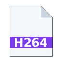 .H264 icon