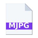 .MJPG icon