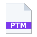.PTM icon